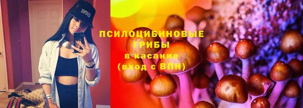 молекула духа Белоозёрский