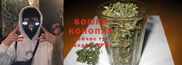 крисы Беломорск
