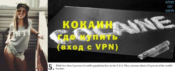 молекула духа Белоозёрский
