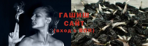 молекула духа Белоозёрский