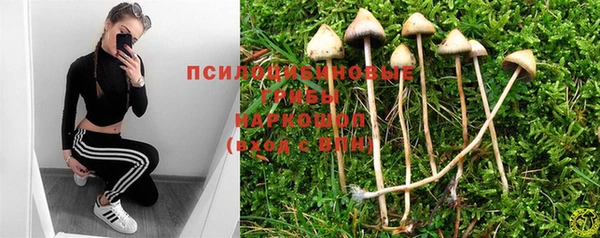 крисы Беломорск