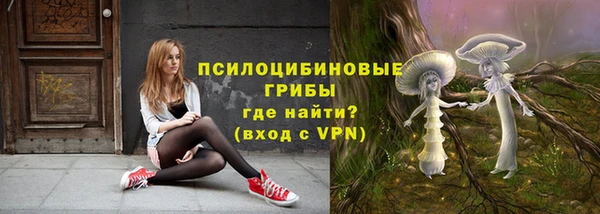 молекула духа Белоозёрский
