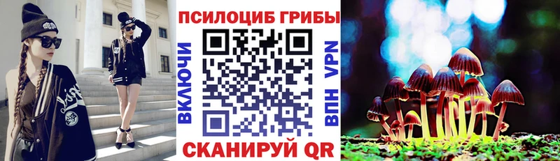 цены   Жуковка  Галлюциногенные грибы ЛСД 