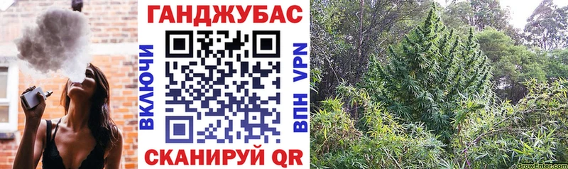 Бошки Шишки Amnesia  купить наркоту  Жуковка 